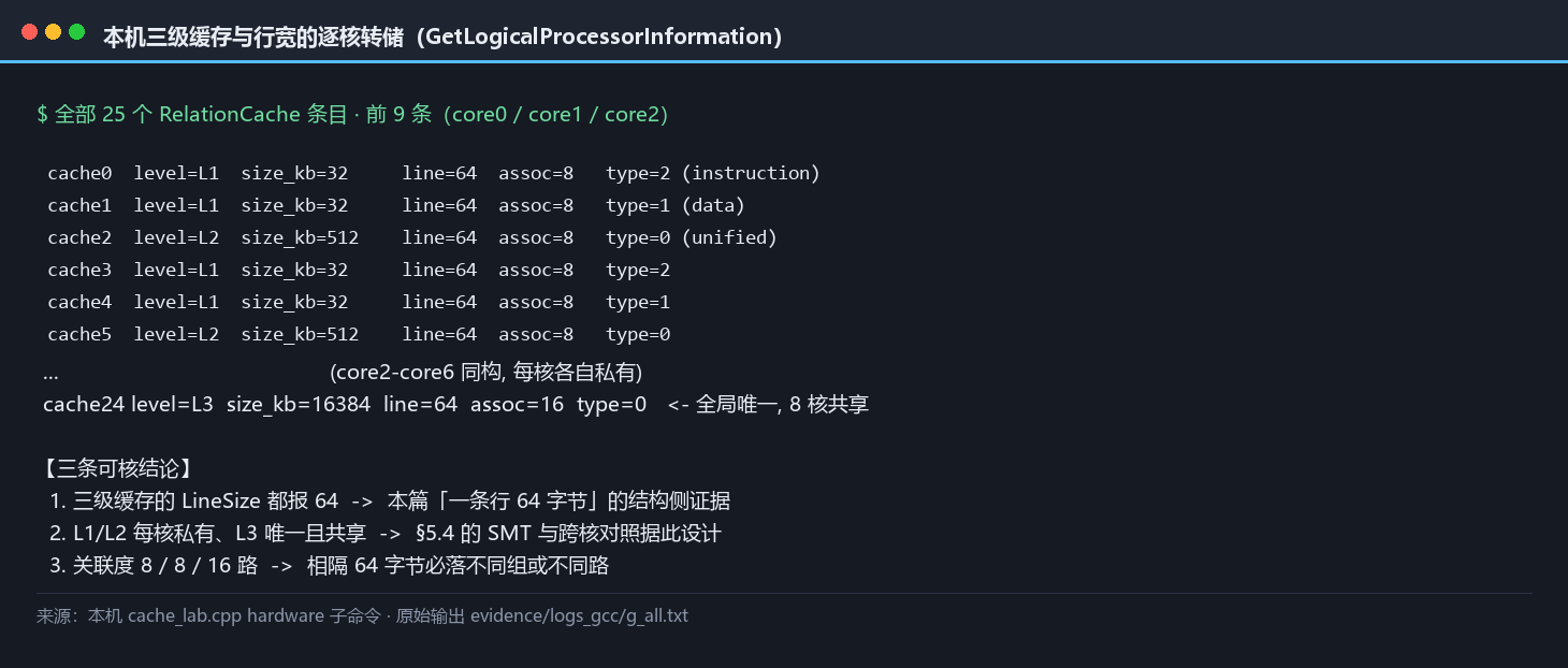 本机三级缓存与行宽转储：L1 数据与指令各 32KB 每核 8 路、L2 512KB 每核 8 路、L3 16MB 共享 16 路，三级 LineSize 一致为 64 字节