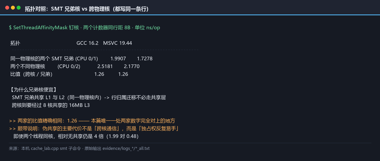 SMT 兄弟核与跨物理核的拓扑对照：两种钉核方式下的伪共享读数与比值，说明兄弟核共享 L1 与 L2、跨核要走共享末级缓存，两家比值一致