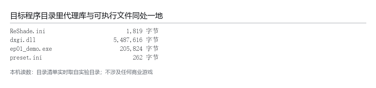 本机读数面板：目标程序目录里代理库与可执行文件同处一地的清单与字节数