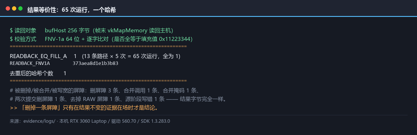 结果等价性：65 次运行，读回缓冲的 FNV-1a 全是同一个值
